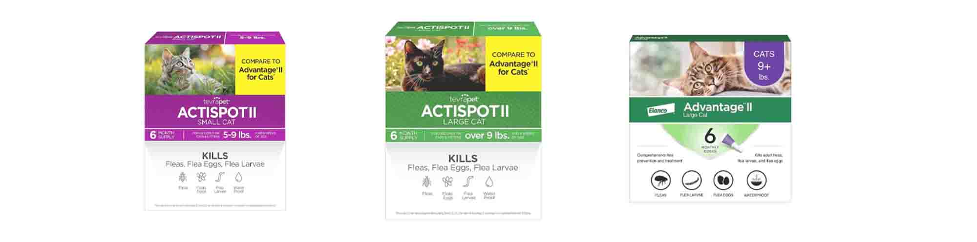Top 5 Best Flea Treatments for Cats: Safe and Effective Parasite Control