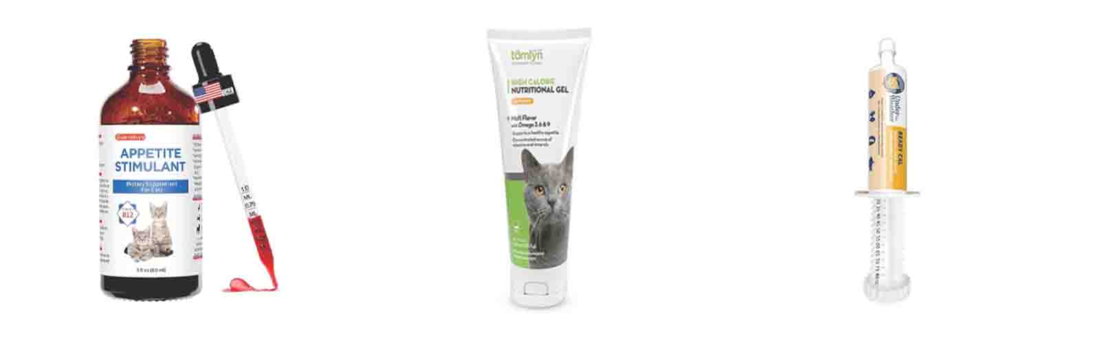 Why Is My Cat Not Eating? Causes, Treatment, and Proven Ways to Help Your Cat Eat Again