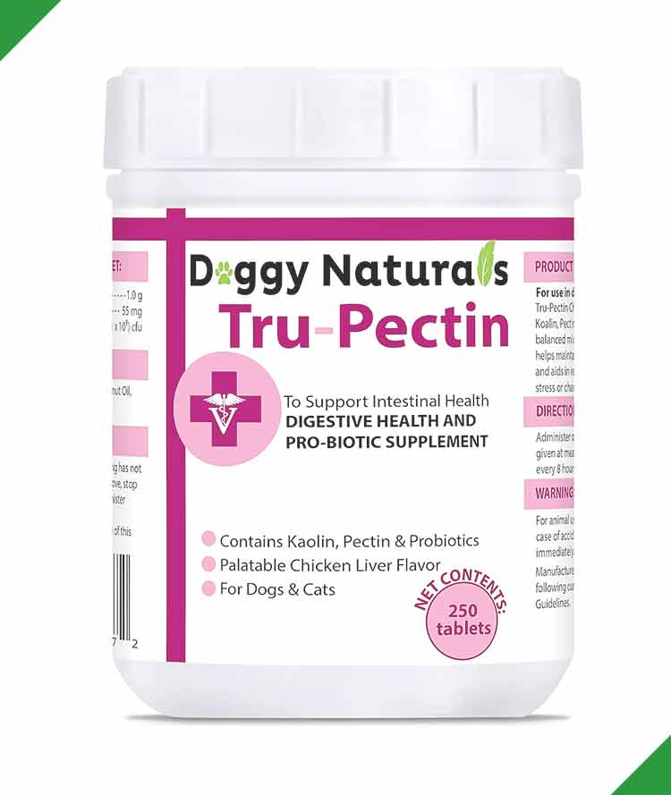 /storage/photos/1/Products/best-anti-diarrheal-supplement-for-dogs-and-cats-natural-kaolin-pectin-tablets-with-probiotics.jpg