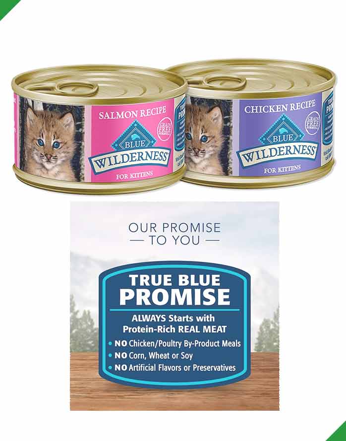 Best Bulk Kitten Wet Food - Cheap & Wholesale High-Protein Canned Cat Food