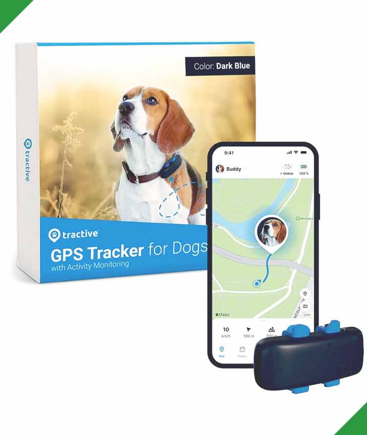 Best GPS Dog Tracker: Real-Time Pet Tracking, Health Monitoring, and Virtual Fence Features image