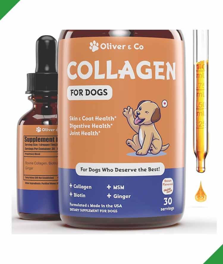 /storage/photos/1/Products/best-liquid-collagen-for-dogs-supports-joint-health-skin-coat-and-itch-relief.jpg