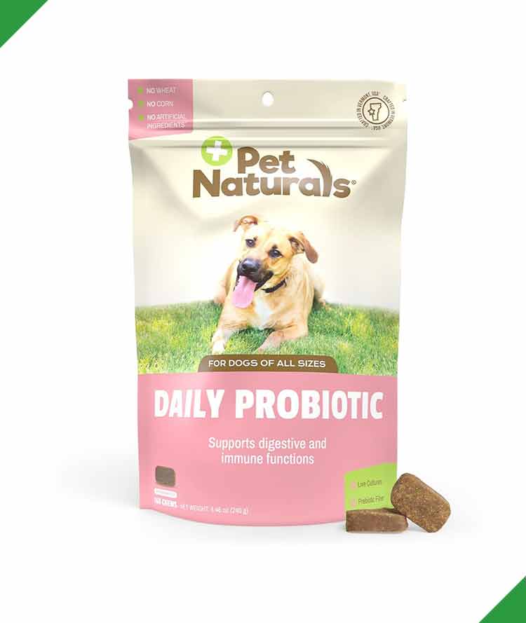 /storage/photos/1/Products/best-probiotic-chews-for-dogs-natural-duck-flavored-daily-supplement-for-digestive-health.jpg