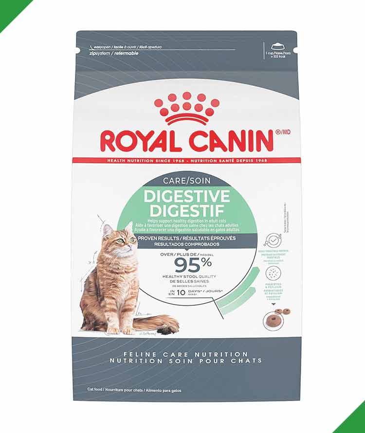 Cat food for cats that throw up - Royal Canin Digestive Care Dry Cat Food,6 lb bag image