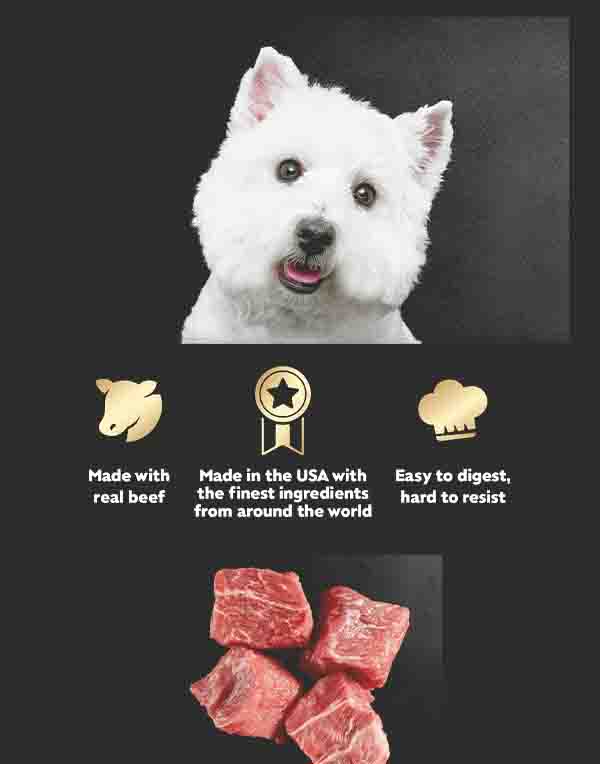 Cesar Wet Dog Food Steak Lovers Variety Pack – Premium Adult Wet Dog Food for Small Breeds (36 × 3.5 oz Easy-Peel Trays) image
