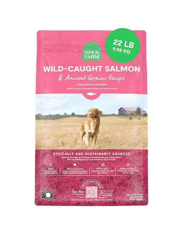 Open Farm Ancient Grains Dry Dog Food with Wild Caught Salmon, Nutrient Dense High Protein Recipe for Better Digestion and Whole Body Health image
