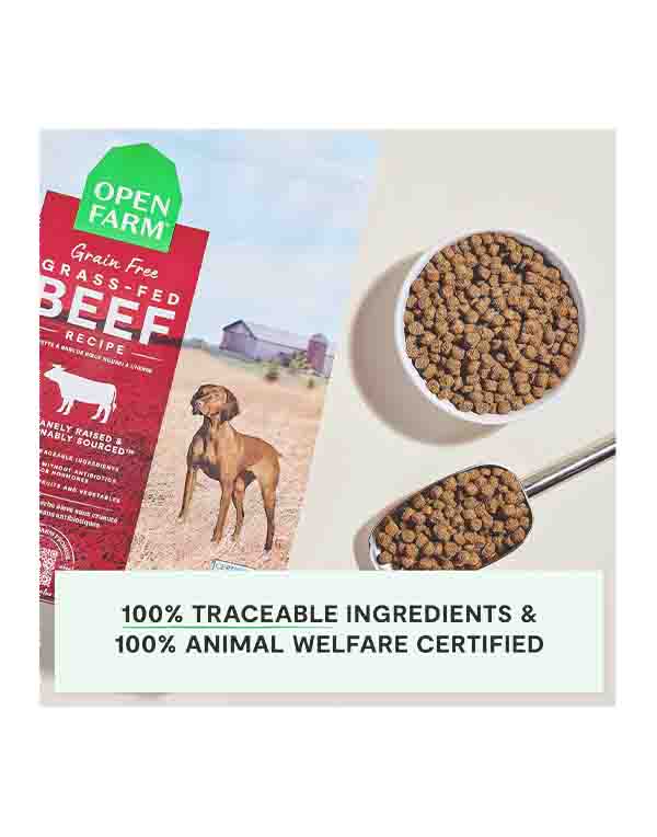 Best Grain Free Dry Dog Food with Grass Fed Beef Recipe for Healthy Dogs (Complete and Balanced Kibble) image