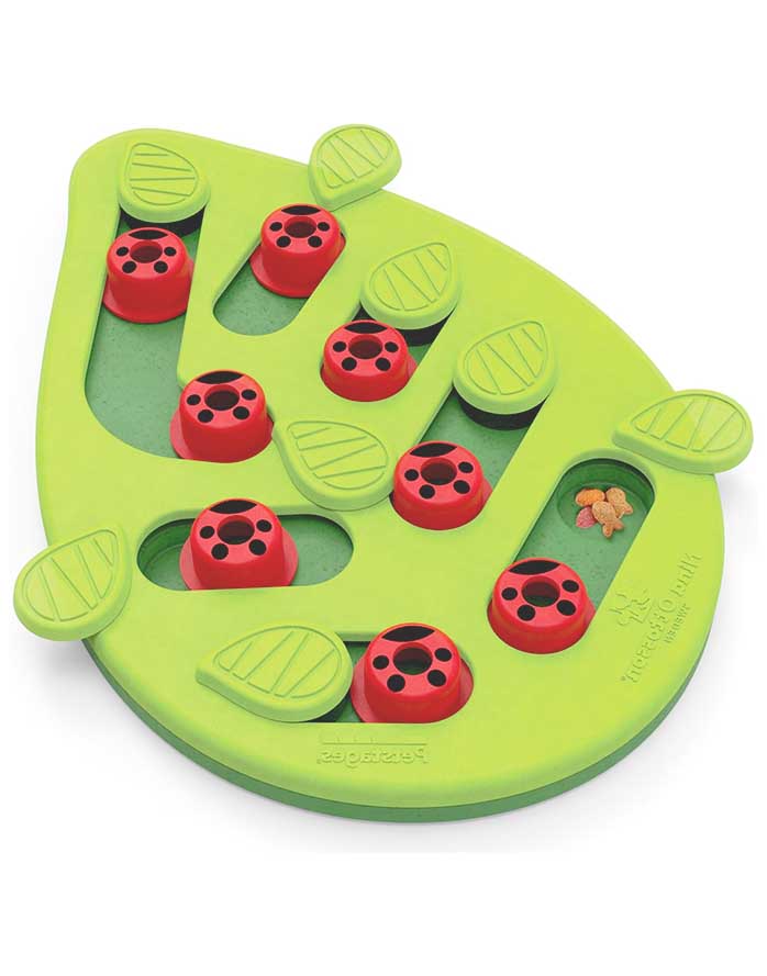 Interactive Cat Food Puzzle Toy | Catit Play Treat Puzzle Alternative & DIY Food Puzzles for Cats - Catstages Buggin' Out Puzzle & Play image