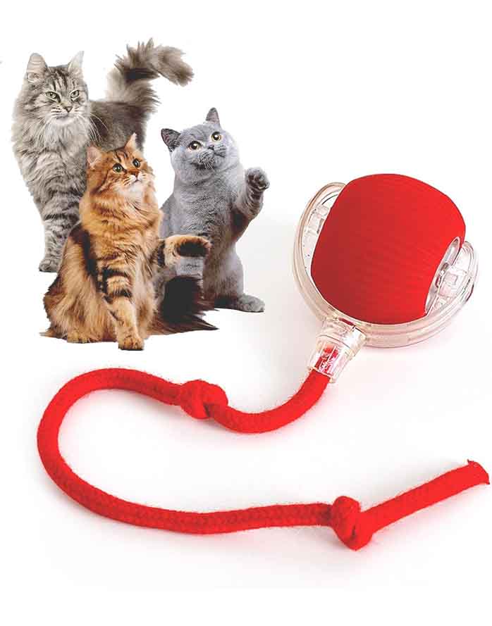 Rocfish Smart Automatic Cat Chase Ball – Durable Interactive Toy for Indoor Cats & Kittens with Upgraded Speedy Tail image