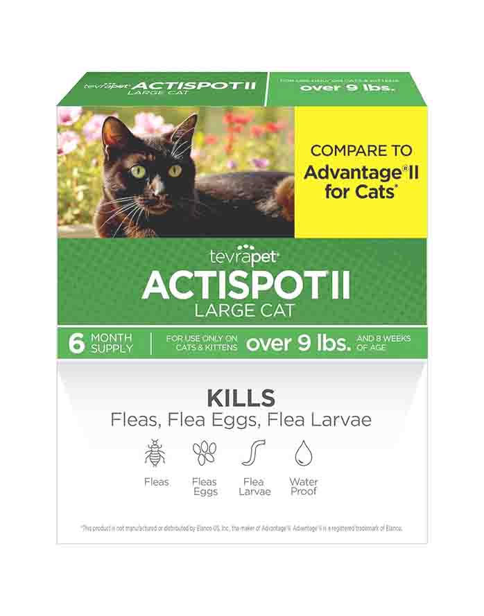 TevraPet Actispot II Flea Treatment for Cats: Effective & Affordable Cat Flea Prevention image