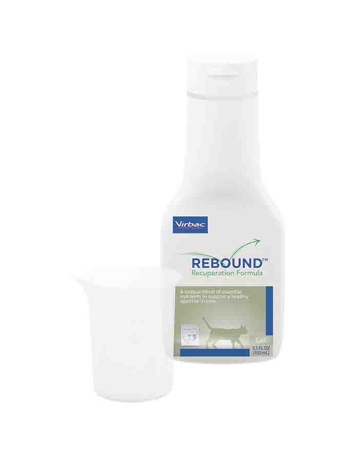Rebound Recuperation Formula for Cats || Liquid Recovery Supplement to Support Eating, Hydration & Gut Health image